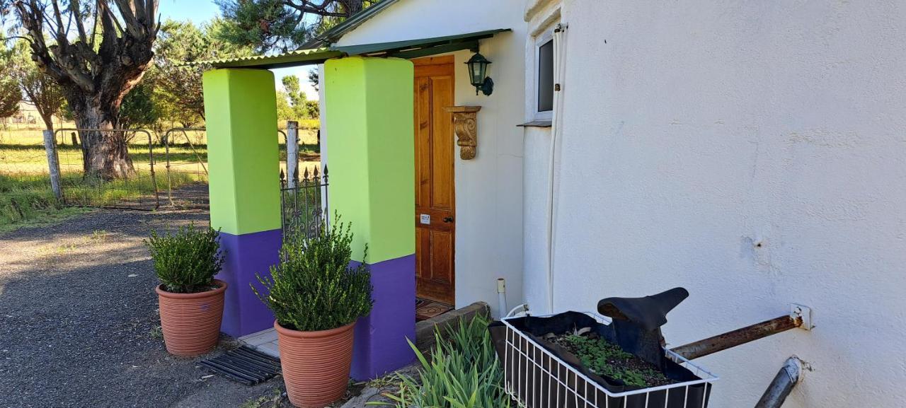 Purple House B&B Smithfield Exterior foto